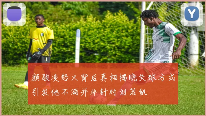 颜骏凌怒火背后真相揭晓失球方式引发他不满并非针对刘若钒