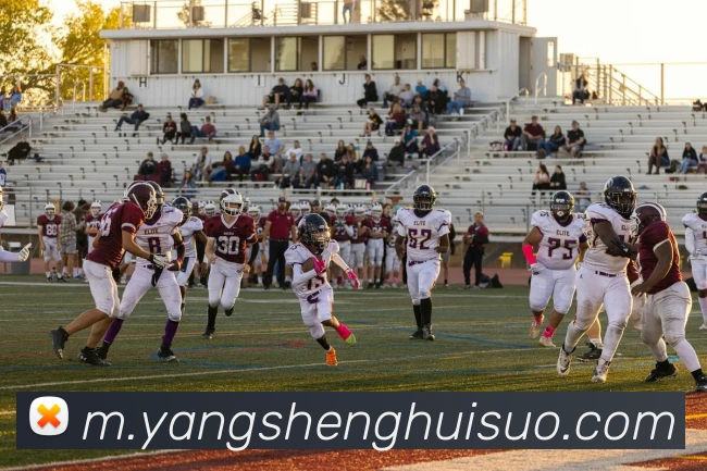 leyu乐鱼在线官网APP 封面图